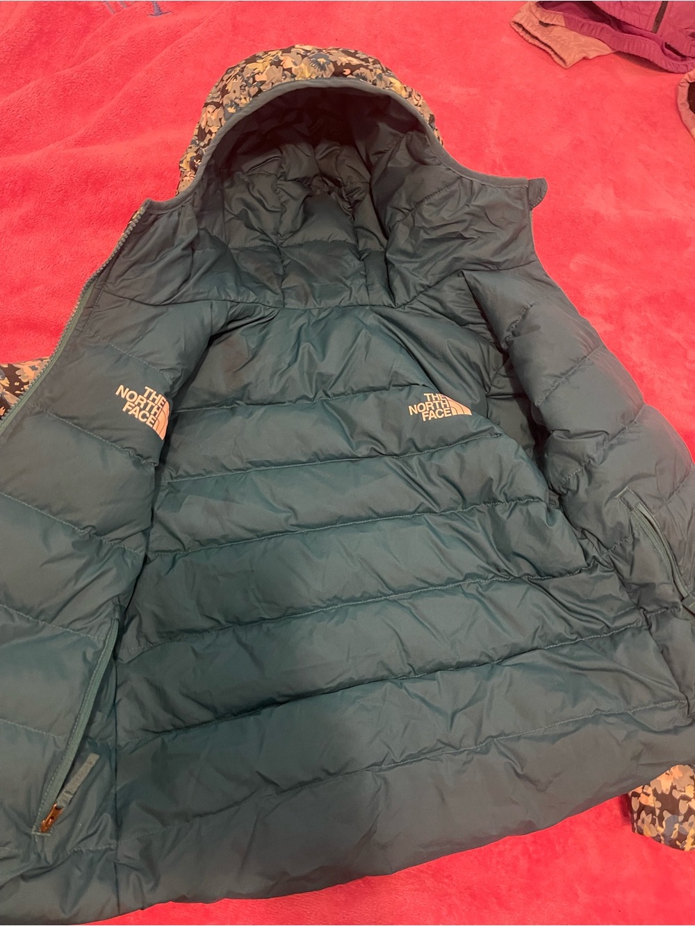 The North Face Teal Kids Insulated Puffer Jacket with Hood